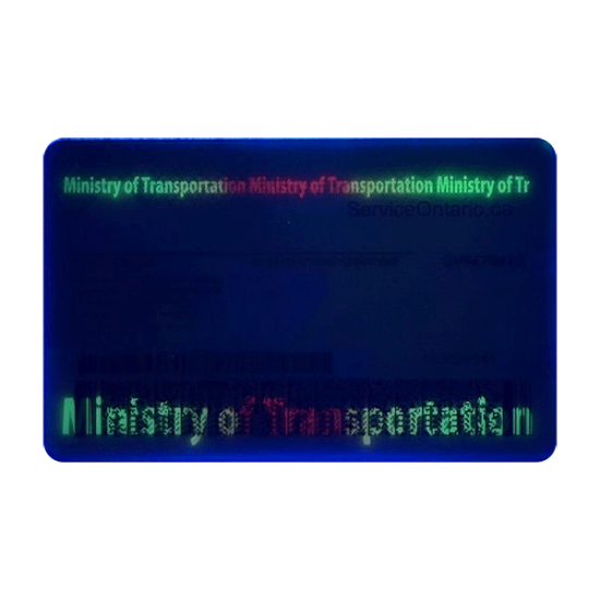 Ontario Fake Dirvers Licence (upgrade version) Ontario Fake Dirvers Licence (upgrade version)