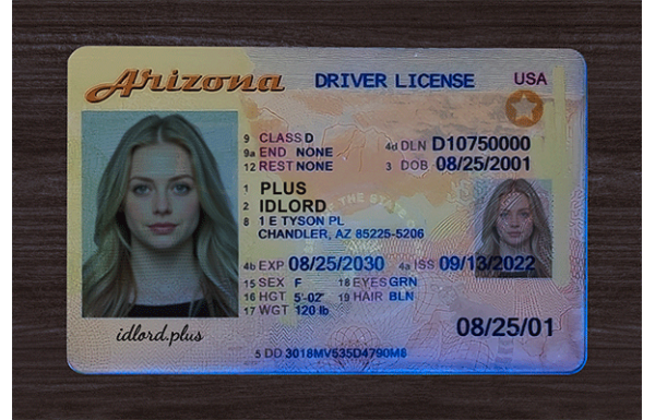 Arizona Fake IDs