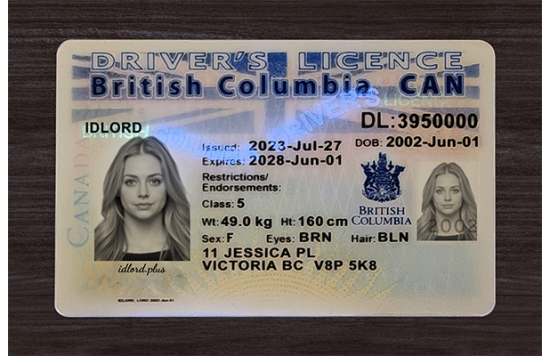 British Columbia Fake IDs
