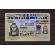 British Columbia Fake IDs