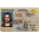 California CDL California CDL