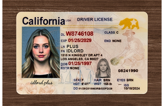California Fake IDs California Fake IDs