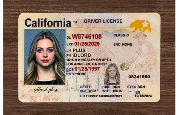 California Fake IDs