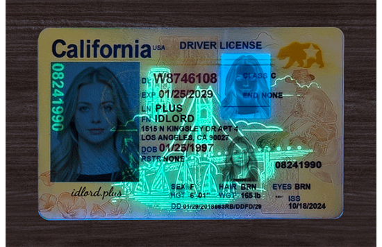 California Fake IDs California Fake IDs