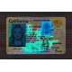 California Fake IDs California Fake IDs