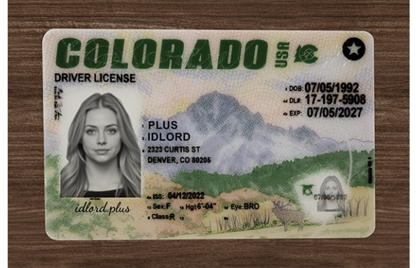 Colorado Fake IDs