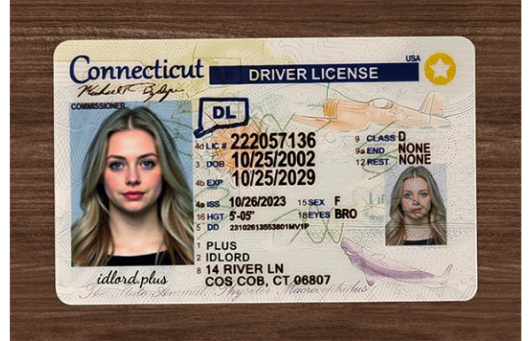 Connecticut Fake IDs