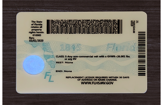 Florida Fake IDs