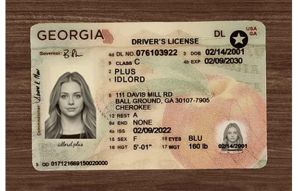 Georgia Fake IDs