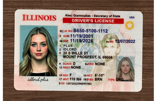 Illinois Fake IDs
