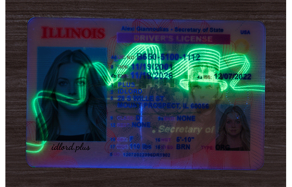 Illinois Fake IDs