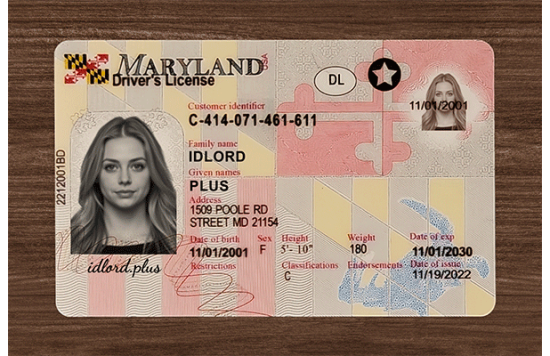 Maryland Fake IDs Maryland Fake IDs