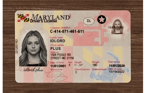 Maryland Fake IDs