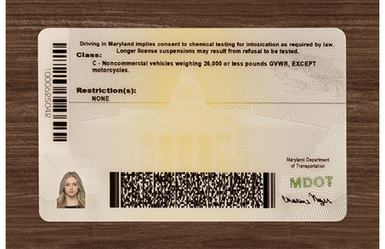 Maryland Fake IDs Maryland Fake IDs