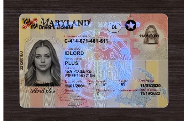 Maryland Fake IDs