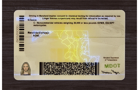Maryland Fake IDs Maryland Fake IDs