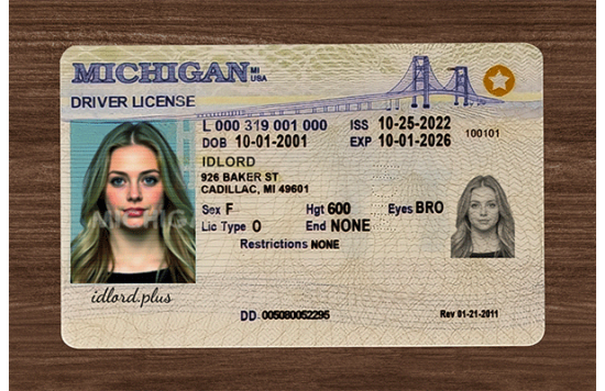 Michigan Fake IDs