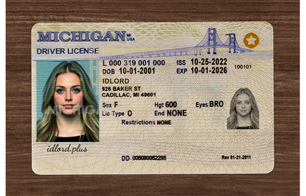 Michigan Fake IDs