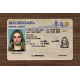 Michigan Fake IDs