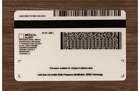 Michigan Fake IDs
