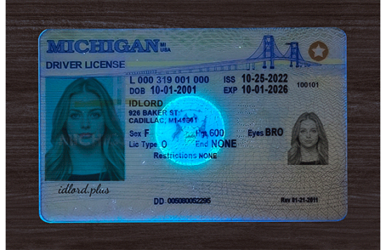 Michigan Fake IDs
