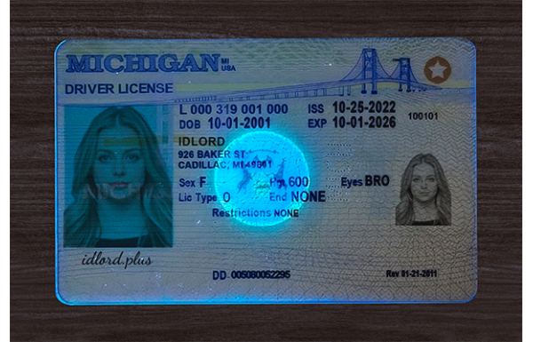 Michigan Fake IDs