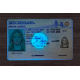 Michigan Fake IDs