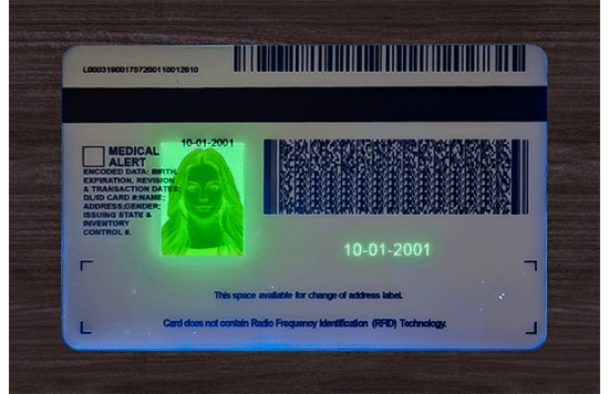 Michigan Fake IDs