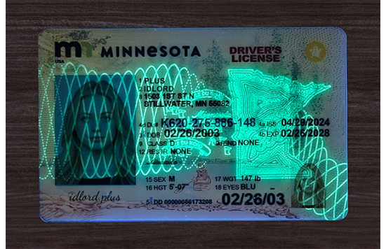 Minnesota Fake IDs Minnesota Fake IDs