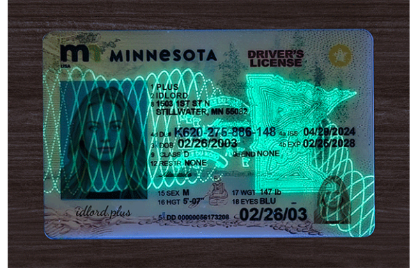 Minnesota Fake IDs