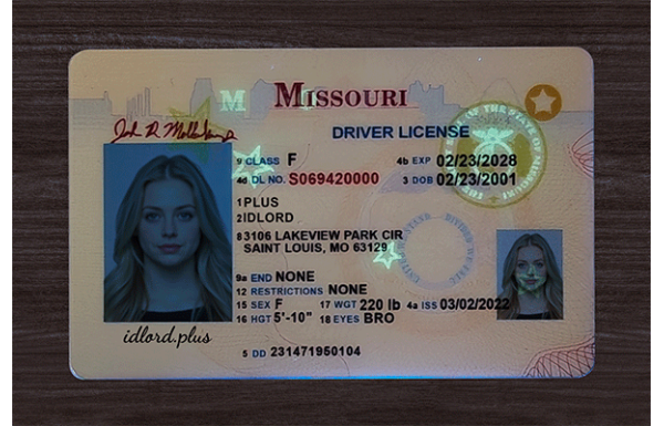 Missouri Fake Dirvers Licence