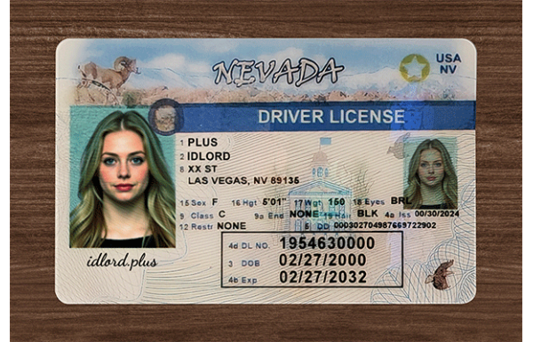 Nevada Fake Dirvers Licence