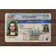 Nevada Fake Dirvers Licence Nevada Fake Dirvers Licence
