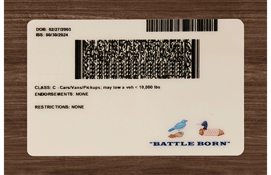 Nevada Fake Dirvers Licence Nevada Fake Dirvers Licence