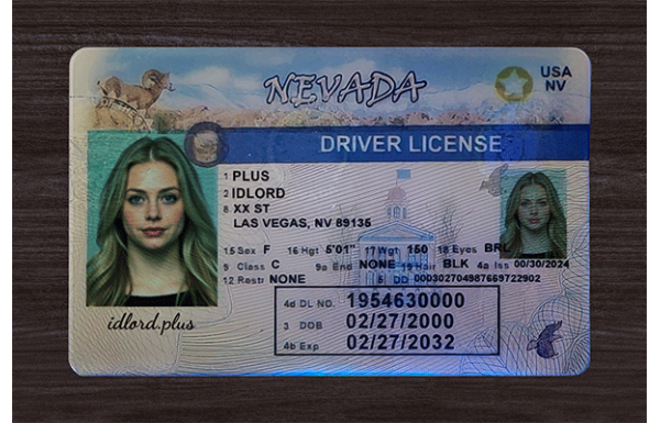 Nevada Fake Dirvers Licence