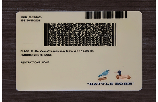 Nevada Fake Dirvers Licence Nevada Fake Dirvers Licence