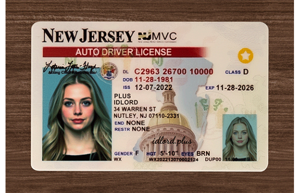 New Jersey Fake Dirvers Licence