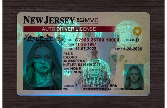 New Jersey Fake Dirvers Licence New Jersey Fake Dirvers Licence