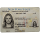 New York CDL New York CDL