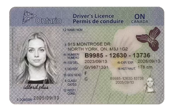 Ontario Fake Dirvers Licence (upgrade version)