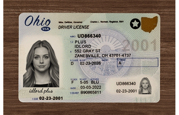 Ohio Fake Dirvers Licence