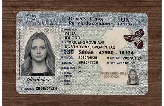 Ontario Fake Dirvers Licence Ontario Fake Dirvers Licence