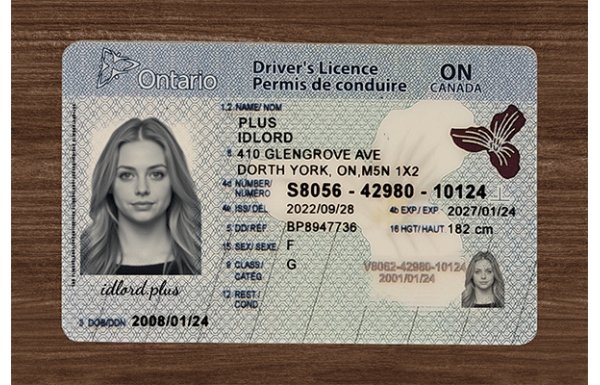 Ontario Fake Dirvers Licence