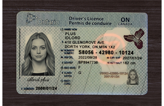 Ontario Fake Dirvers Licence Ontario Fake Dirvers Licence