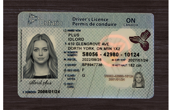 Ontario Fake Dirvers Licence