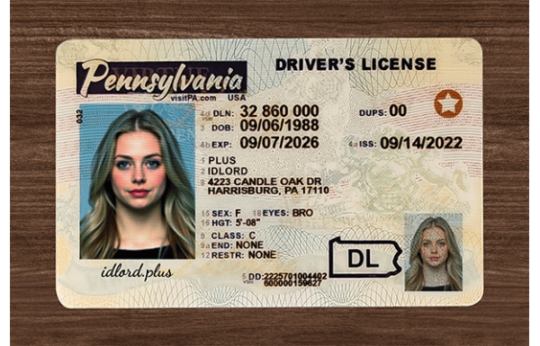 Pennsylvania Fake Dirvers Licence