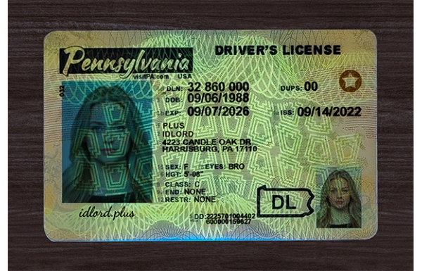 Pennsylvania Fake Dirvers Licence