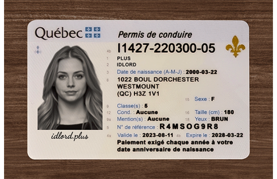 Quebec Fake Dirvers Licence Quebec Fake Dirvers Licence