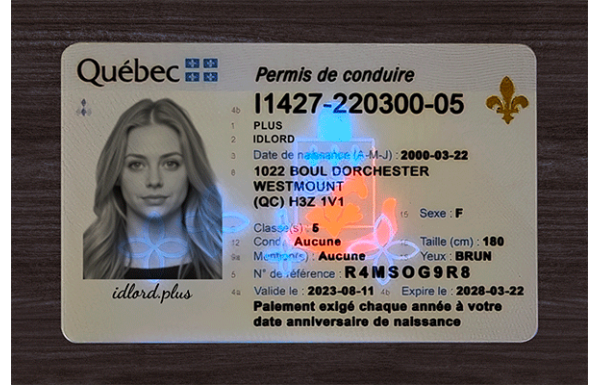 Quebec Fake Dirvers Licence