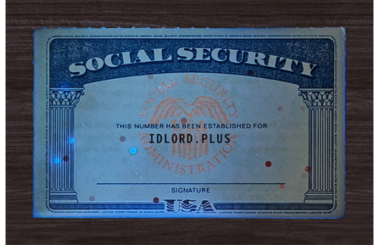 SSN Card SSN Card